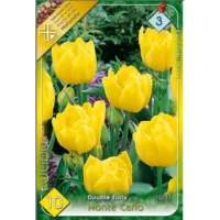 Lalele/Tulipa double early Monte Carlo (10buc)