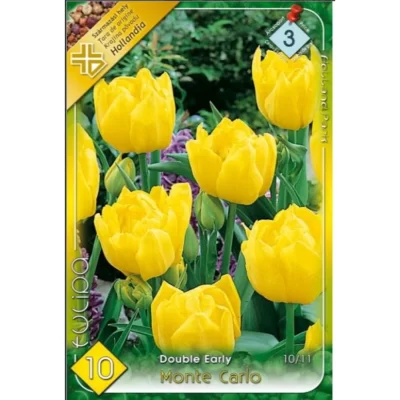 Lalele/Tulipa double early Monte Carlo (10buc)