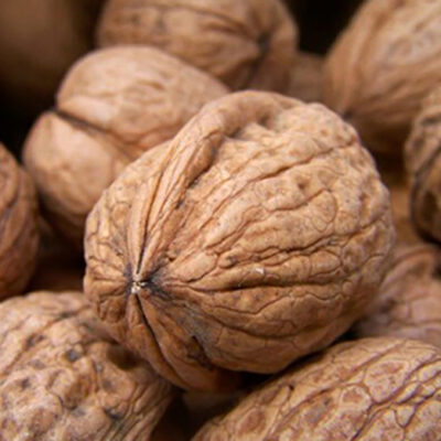 Alegeți Nuc Sibisel și bucurați-vă de un pom de vigoare mijlocie, productiv 🌿. Gustați fructul mare de 14,5 g, gălbuie-maronie 🤩. Comandați acum!