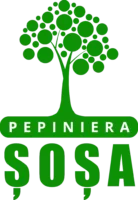 Pepiniera Sosa