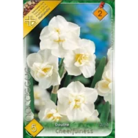 Narcise/ Narcissus Cheerfulness (5buc)