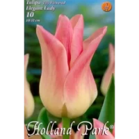 👉️ Descoperă frumusețea plantei Tulipa lily flowered Elegant Lady cu o înălțime de 40-60 cm. Nu rata și comandă acum! 🌸