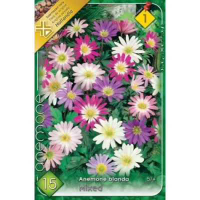 Anemone blanda are flori de obicei de culoare albastru-deschis, mov sau alb, cu numeroase petale subțiri și stamine galbene în centru. 🌸🛒