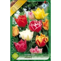 Lalele/Tulipa double early mixed (10buc)