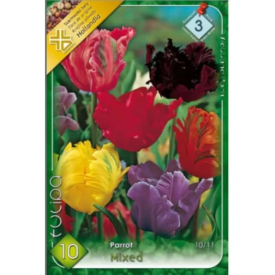 Tulipa parrot Papagal mixed aceste lalele sunt ideale pentru a adăuga un element de spectacol în borduri de grădină.Comandă acum! 🌸