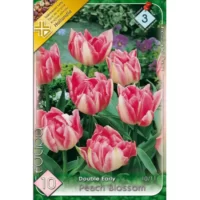 Lalele/Tulipa early Peach Blossom (10buc)