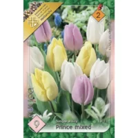 Tulipa Trio Prince Mixed - Bulbi de înaltă calitate pentru grădina ta
