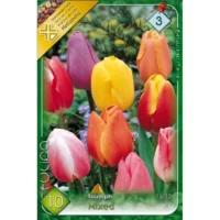 Lalele/ Tulipa triumph mixed (10buc)
