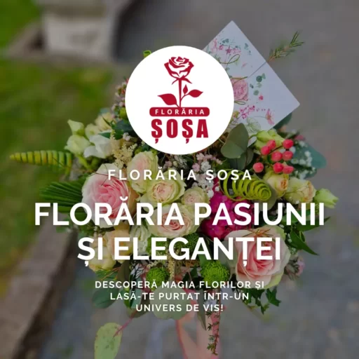 Floraria Sosa