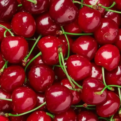 Pomi-fructifei-Cires-Pepiniera-Sosa