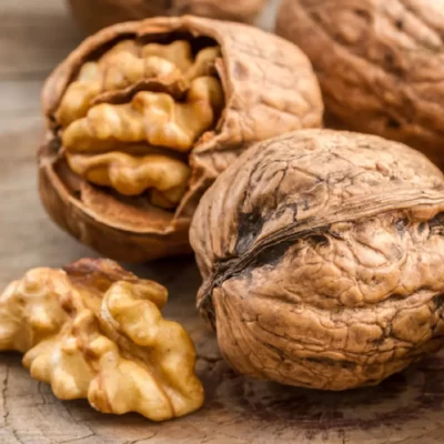 Pomi-fructifei-Nuc-Pepiniera-Sosa