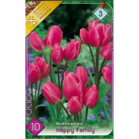 Lalele/Tulipa Happy Family (10 buc)
