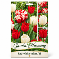 Lalele/Tulipa Colecție Red White (15buc)