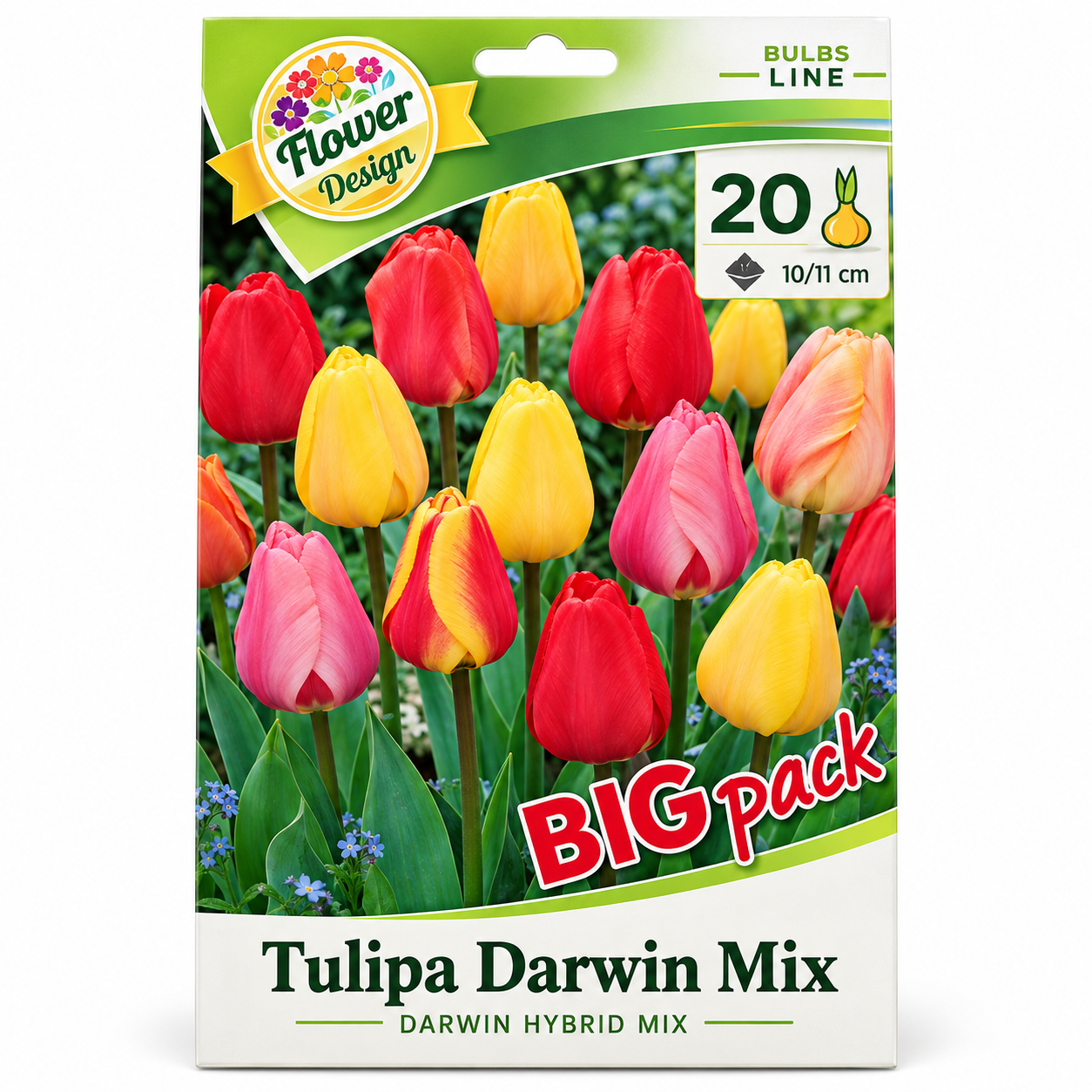 lalele-darwin-mix Lalele/Tulipa Darwin Mix (20buc) - imagine 1