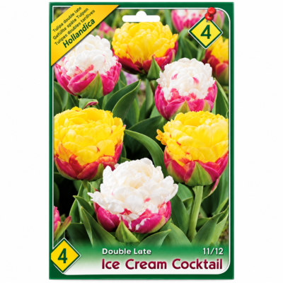 Lalele/Tulipa Ice Cream Cocktail (4buc)