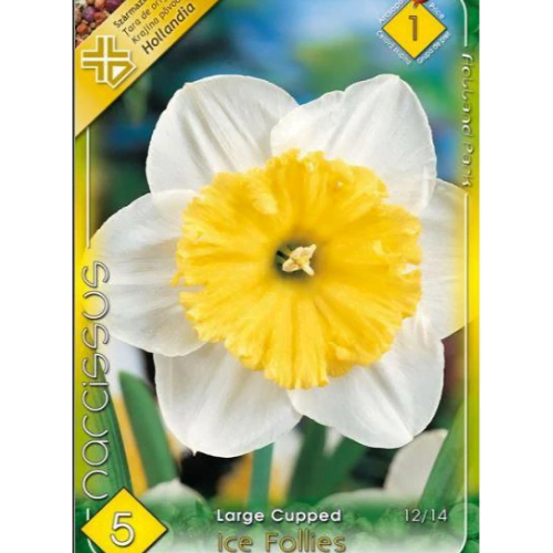Modern Square Typographic Fashion Brand Logo Narcise/Narcissus Ice Follies (4 buc) - imagine 1