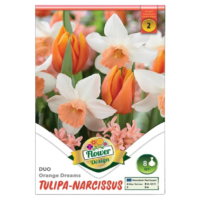 Lalele/Tulipa-Narcise/Narcissus Duo Orange Dream (8 buc)