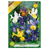 Bucurați-vă de culori vibrante cu Iris Mix Holl, flori impresionante între 30 și 50 cm înălțime. O idee excelentă pentru grădina dumneavoastră! 🌸