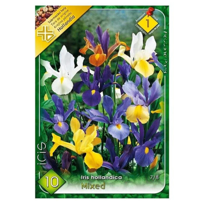 Bucurați-vă de culori vibrante cu Iris Mix Holl, flori impresionante între 30 și 50 cm înălțime. O idee excelentă pentru grădina dumneavoastră! 🌸