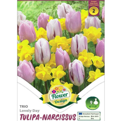 Transformați grădina dvs. într-un paradis de flori cu Tulipa Trio Lovely Day. Alegeți acum și beneficiați de o livrare rapidă și gratuită! 🌷