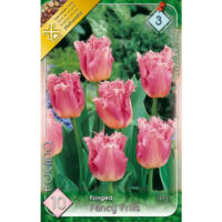 Lalele/Tulipa Fancy Frills (10 Buc)