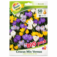 Crocus Mix Vernus (50buc)