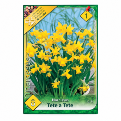 Narcise/ Narcissus ‘Tête-à-Tête’ (8buc)
