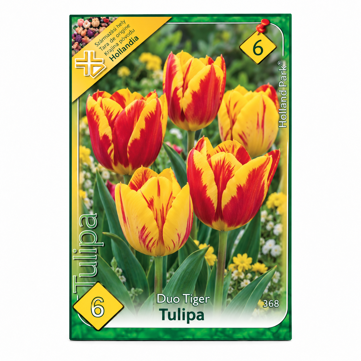 368-lalele-duo-tiger-6buc Lalele/ Tulipa Duo Tiger (6buc) - imagine 1