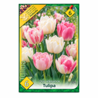 Lalele/Tulipa Duo Elegance (6buc)