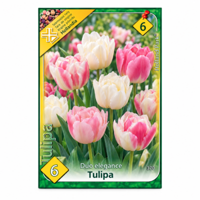 Lalele/Tulipa Duo Elegance (6buc)