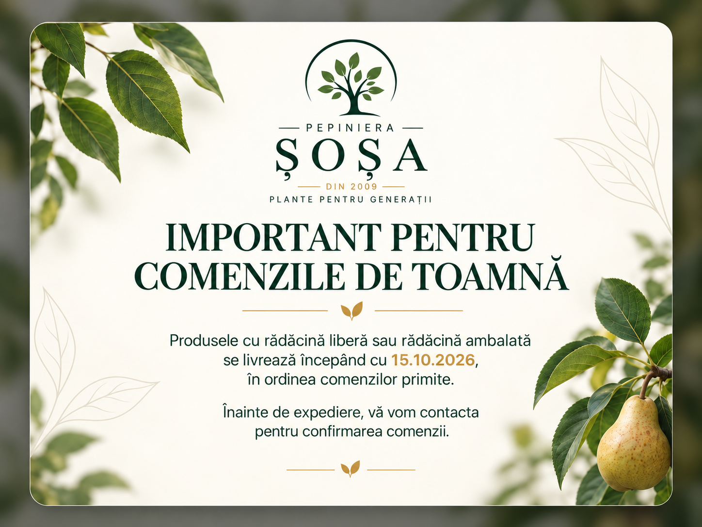 comenzi toamna 2026
